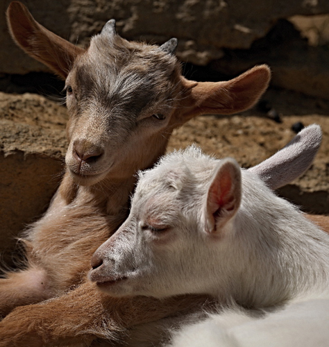 111bmalow.jpg, 220kB